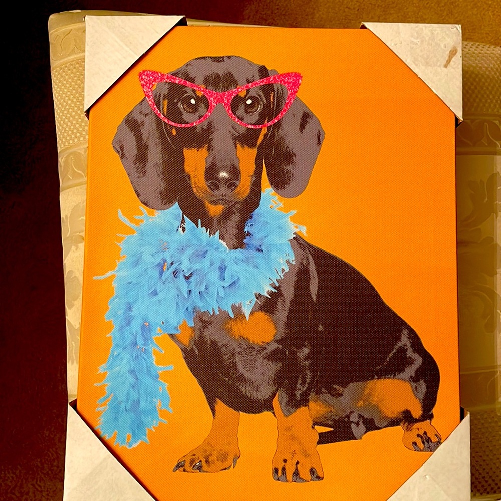 Glamour Doxy canvas print by Doug Hernandez